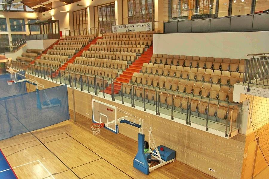 modern folding plywood chairs for sports halls - manufacturer